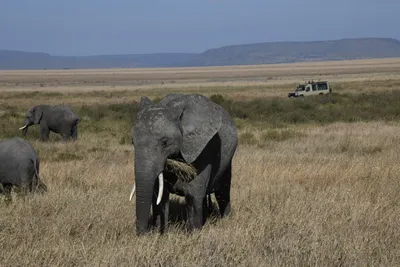 DSC_3901 (Large).JPG